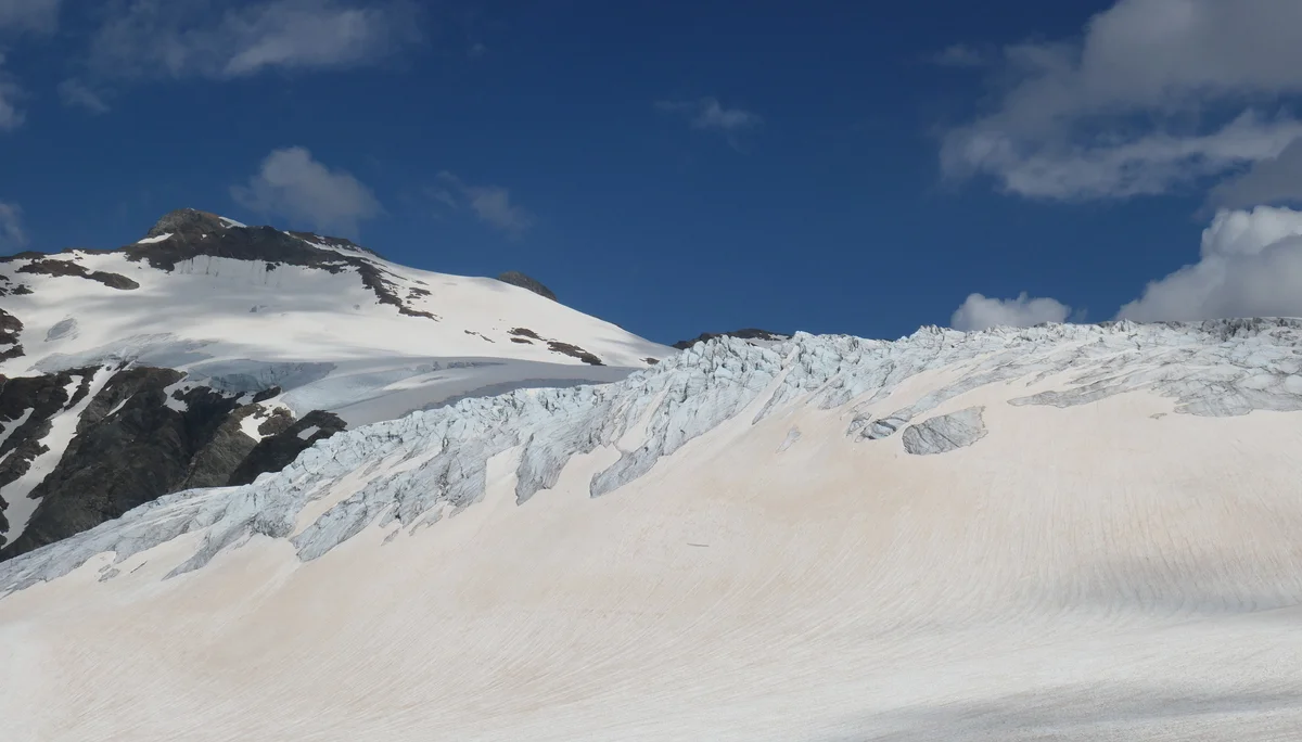 Sustenhorn 20.07.2024 | © DAV-FN / S. Dischler