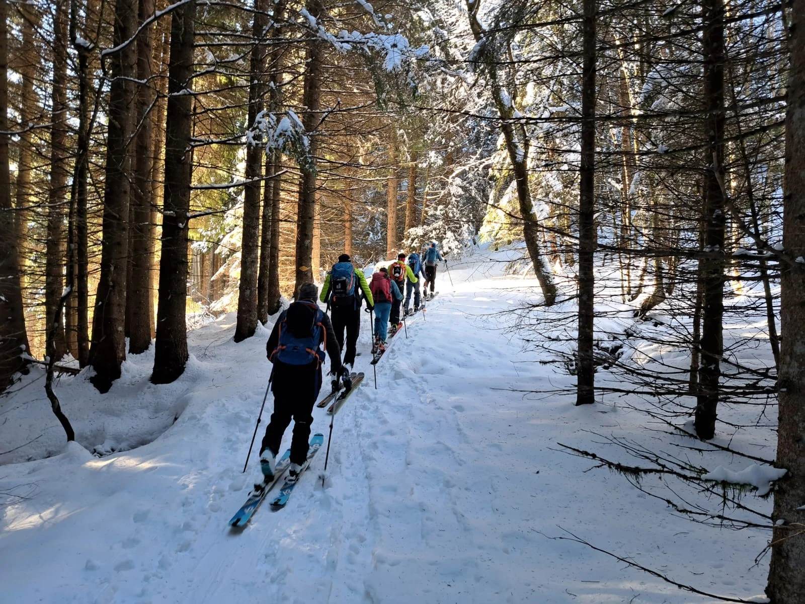 Rosswies | © DAV FN / R. Gersten