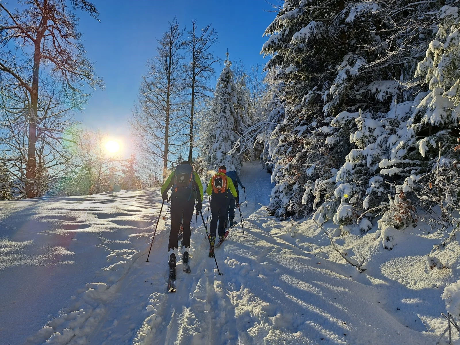 Rosswies | © DAV FN / R. Gersten