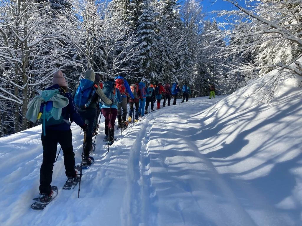 Schneeschuhtour Hochschelpen | © DAV-FN / Angelika Schlech
