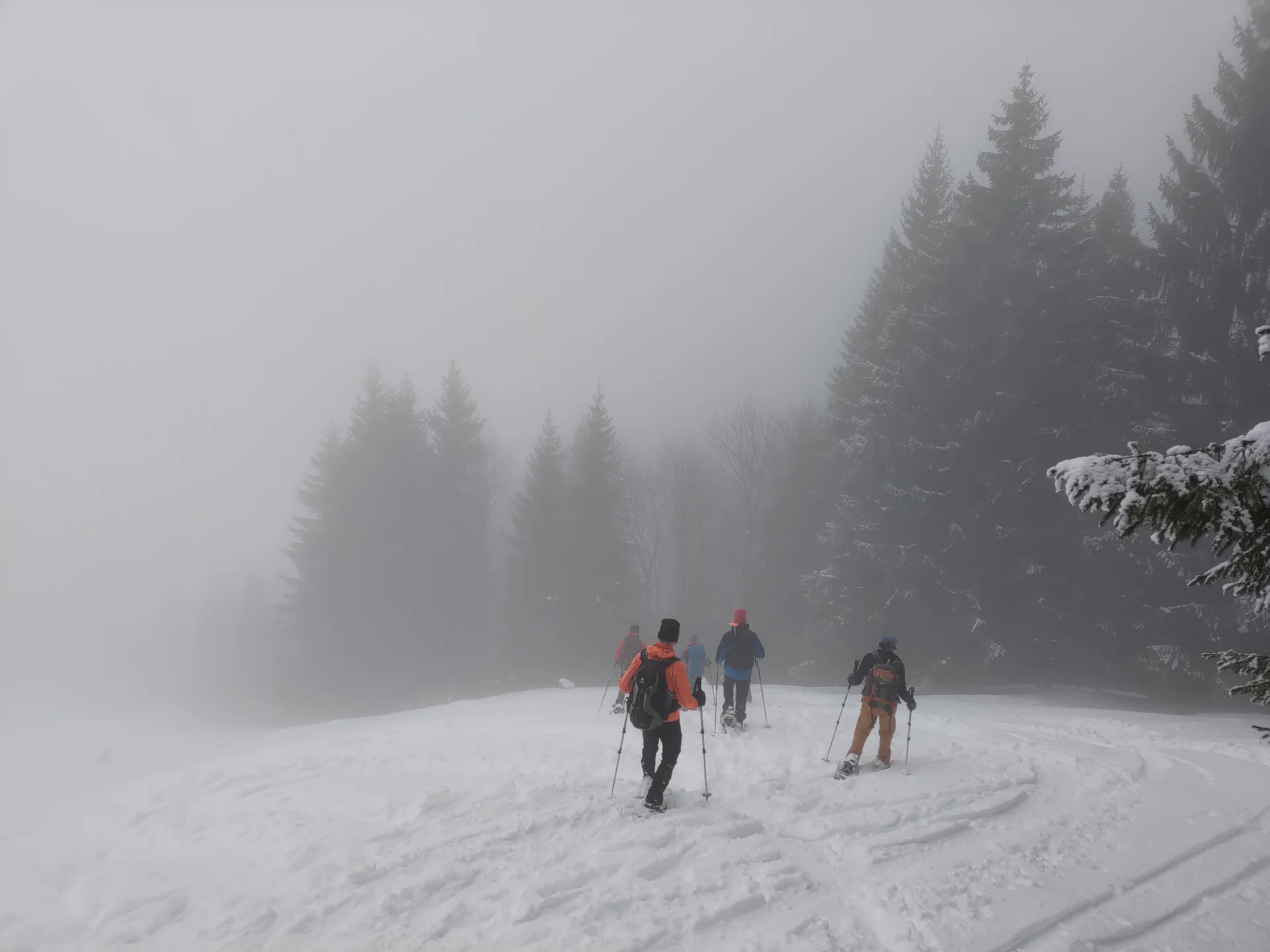 Schneeschuhtour auf den Bullerschkopf  | © DAV-FN / A. Schababerle