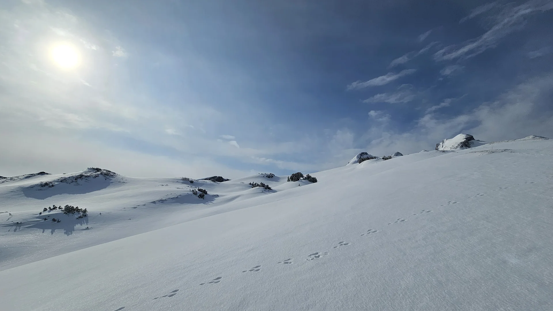 Mit Schneeschuhen auf den Margelchopf | © DAV-FN / J. Schababerle