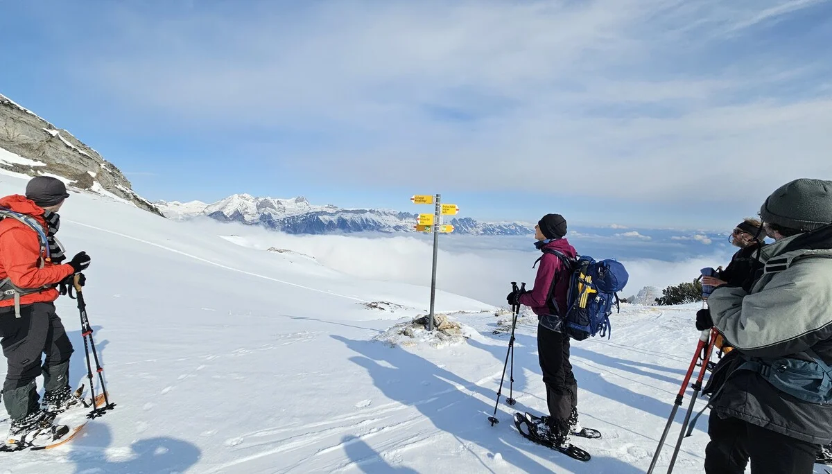 Mit Schneeschuhen auf den Margelchopf | © DAV-FN / J. Schababerle