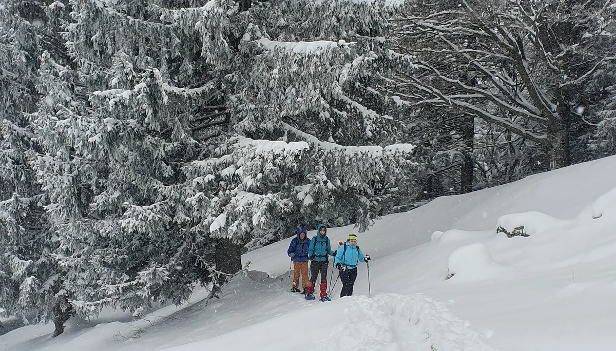 © DAV-FN/Anna Schababerle