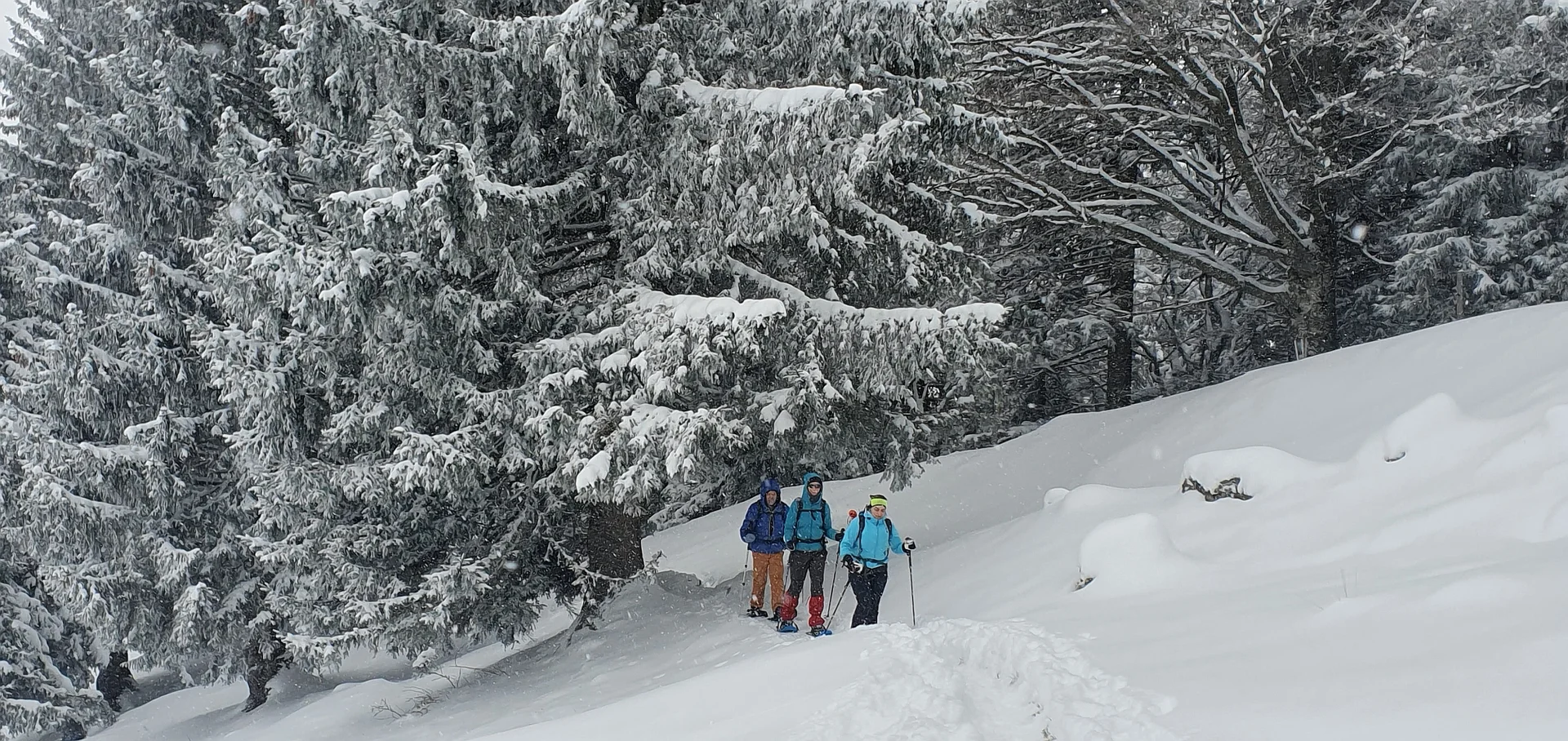 © DAV-FN/Anna Schababerle