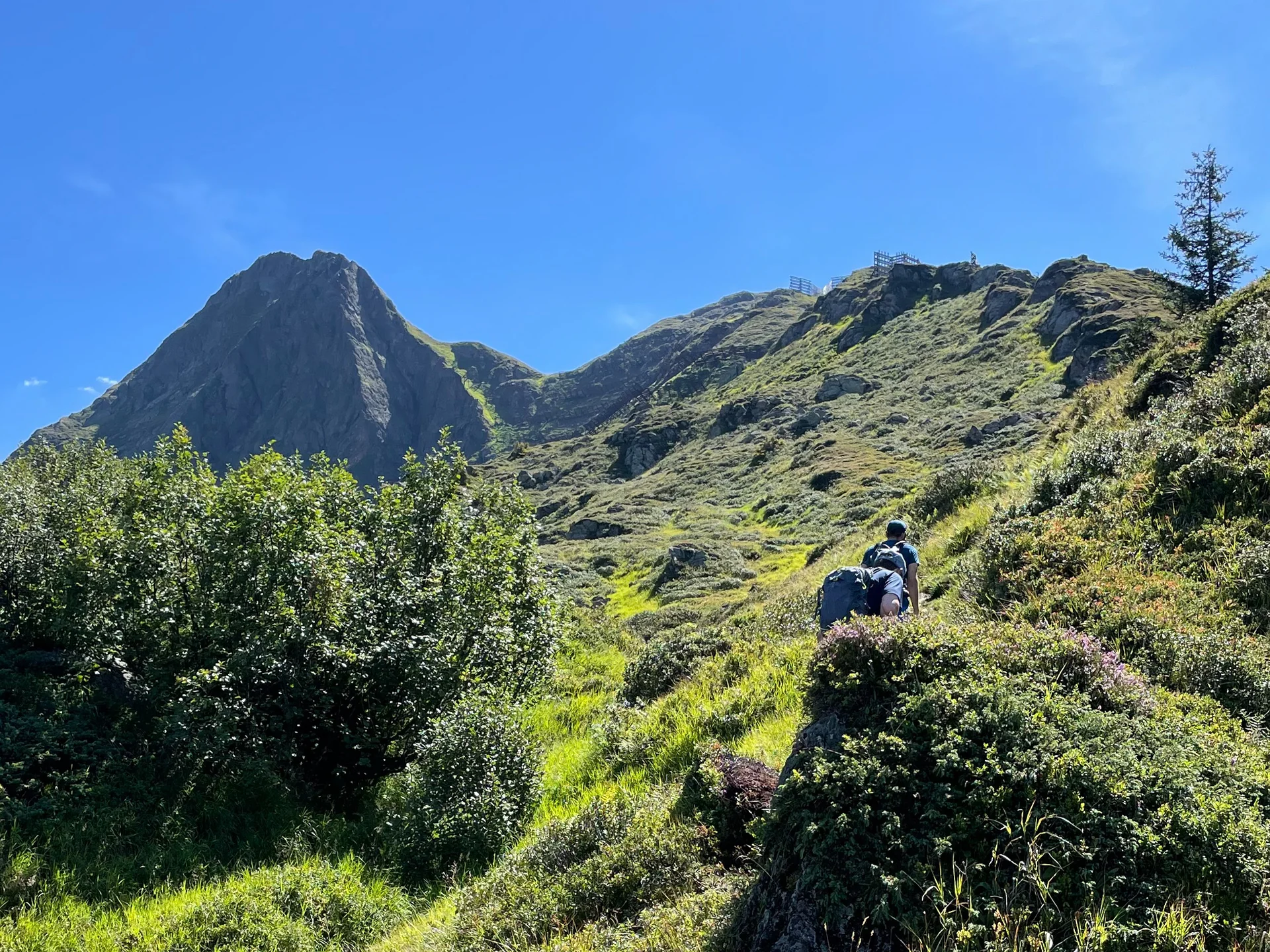 DAV_Burtschakopf_Anstieg03 | © DAV-FN / Christian Feil