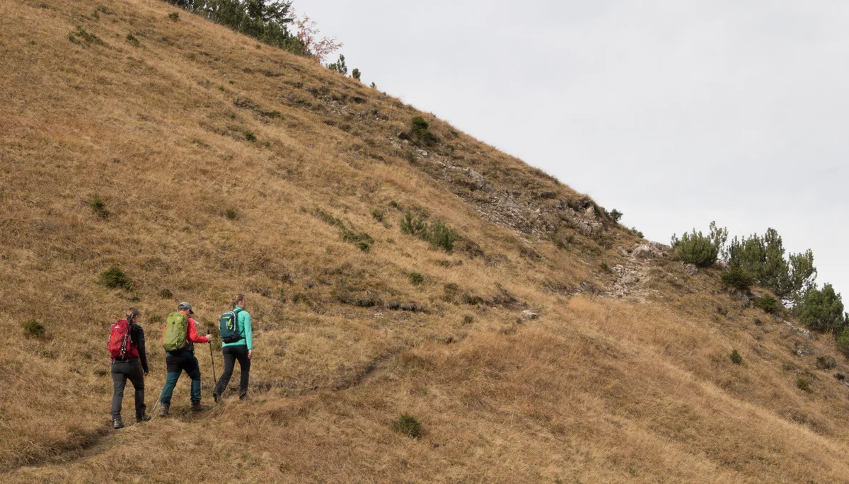 DAV_Davenna_Anstieg03 | © DAV-FN / Christian Feil