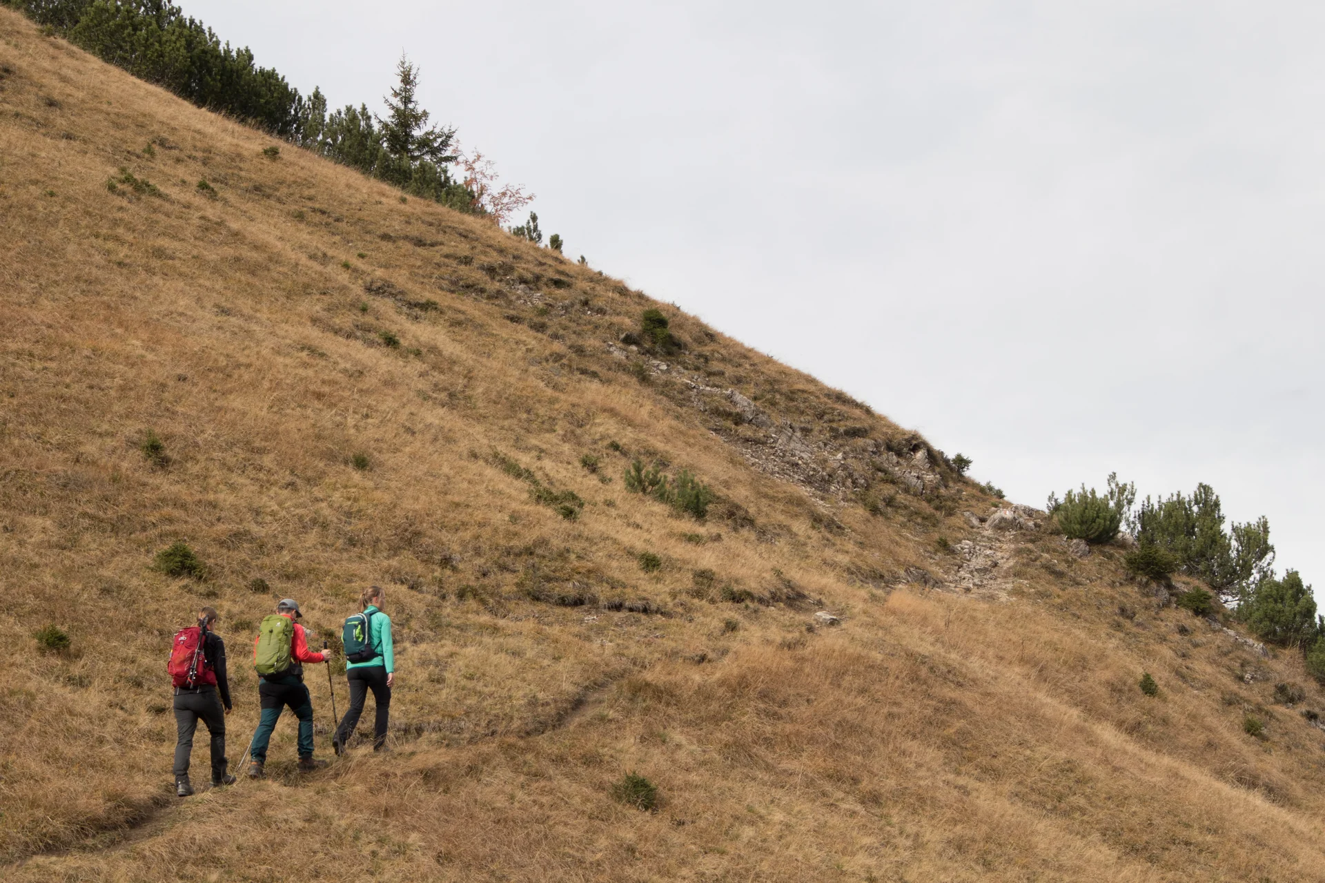 DAV_Davenna_Anstieg03 | © DAV-FN / Christian Feil