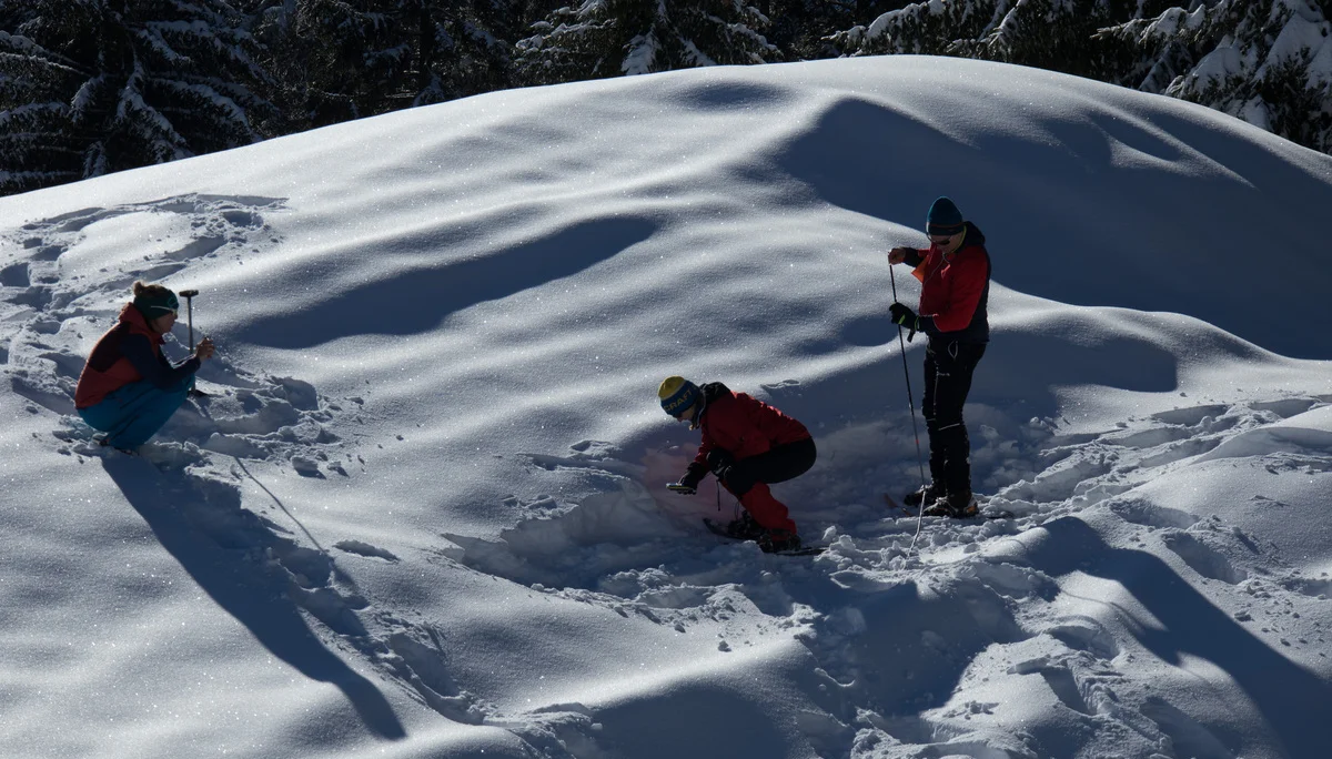 piepsup_schneeschuhtour-feinsuche7 | © DAV-FN / Christian Feil