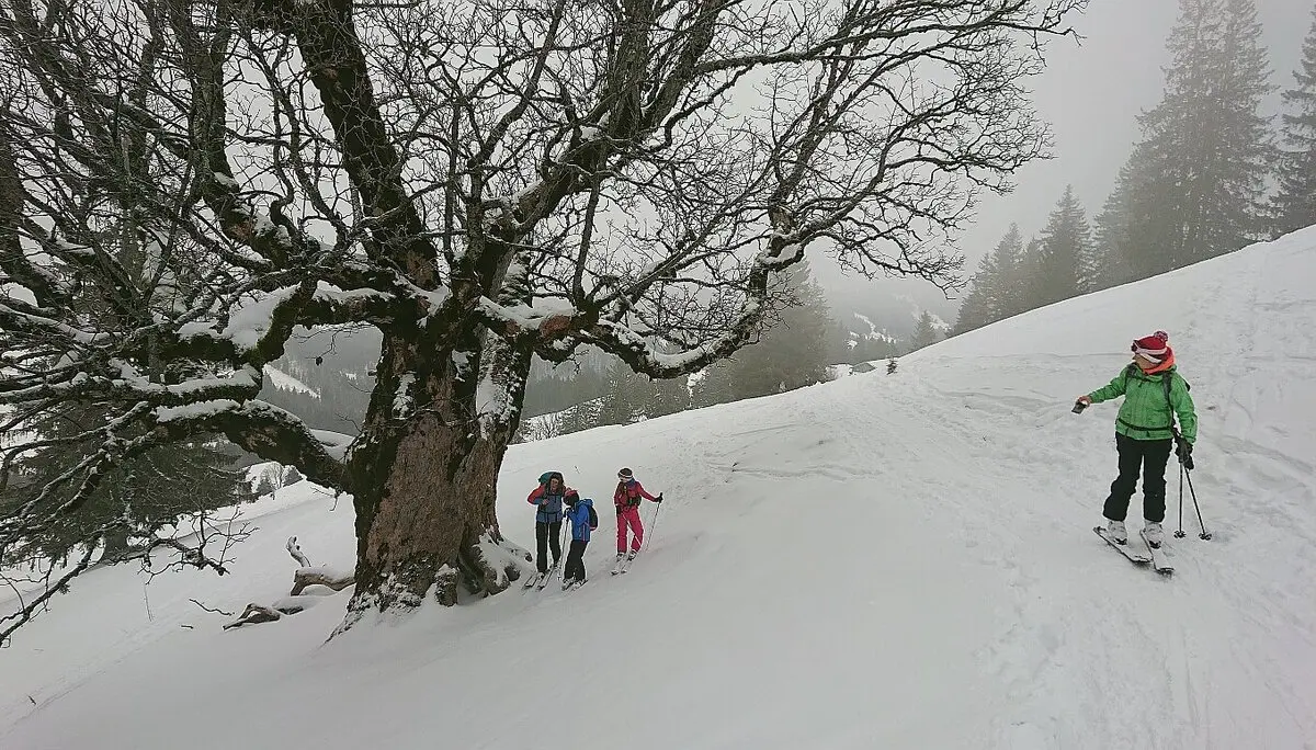 © DAV-FN / Peter Schäfer