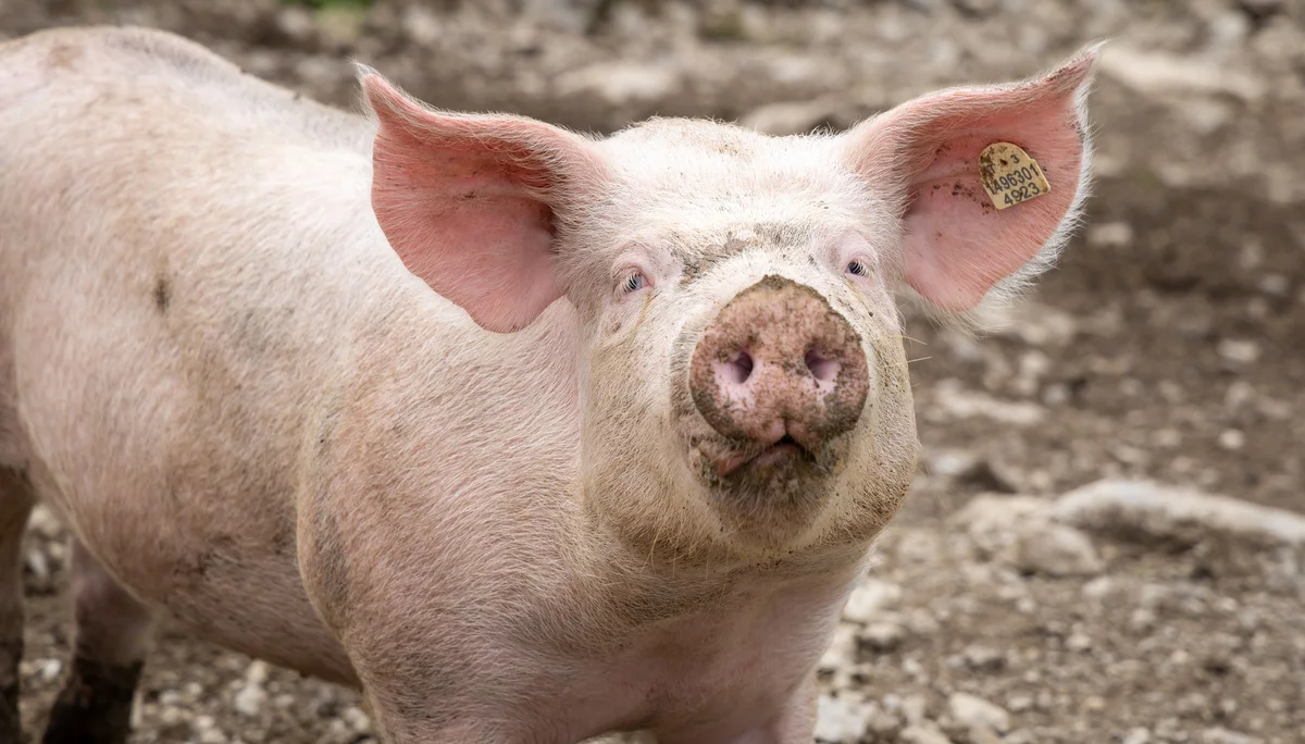 © Deutscher Alpenverein Friedrichshafen e.V. Foto: Schababerle/Birth