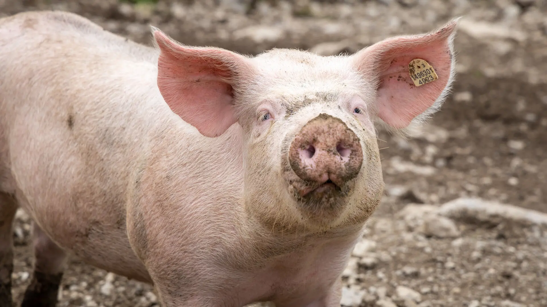 © Deutscher Alpenverein Friedrichshafen e.V. Foto: Schababerle/Birth