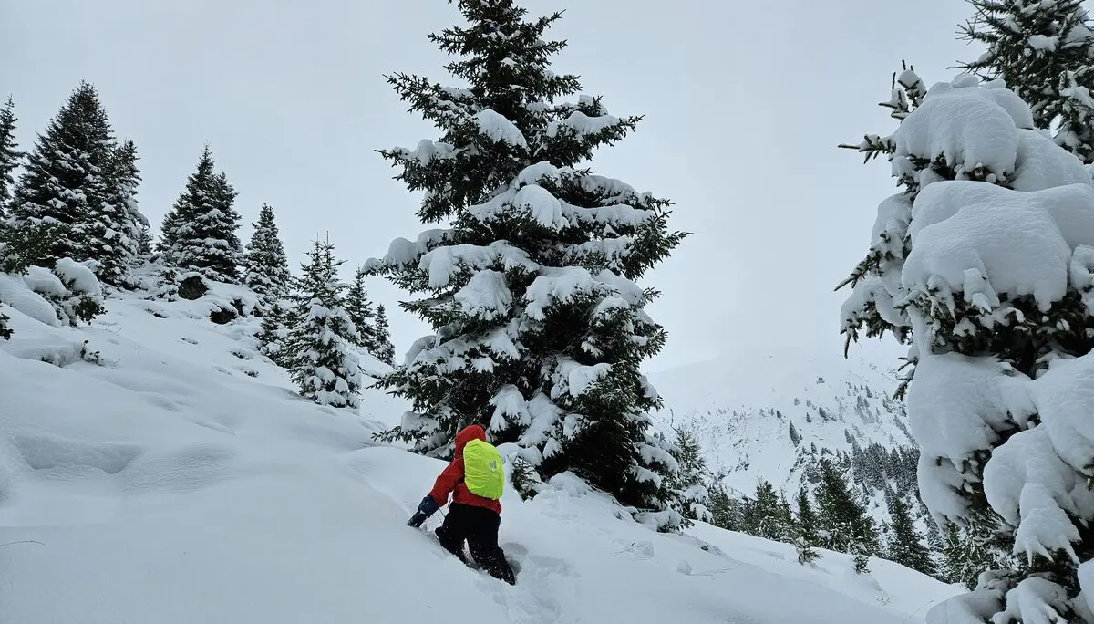 Familienwochenende auf der Friedrichshafener Hütte  | © DAV-FN / A. Schababerle