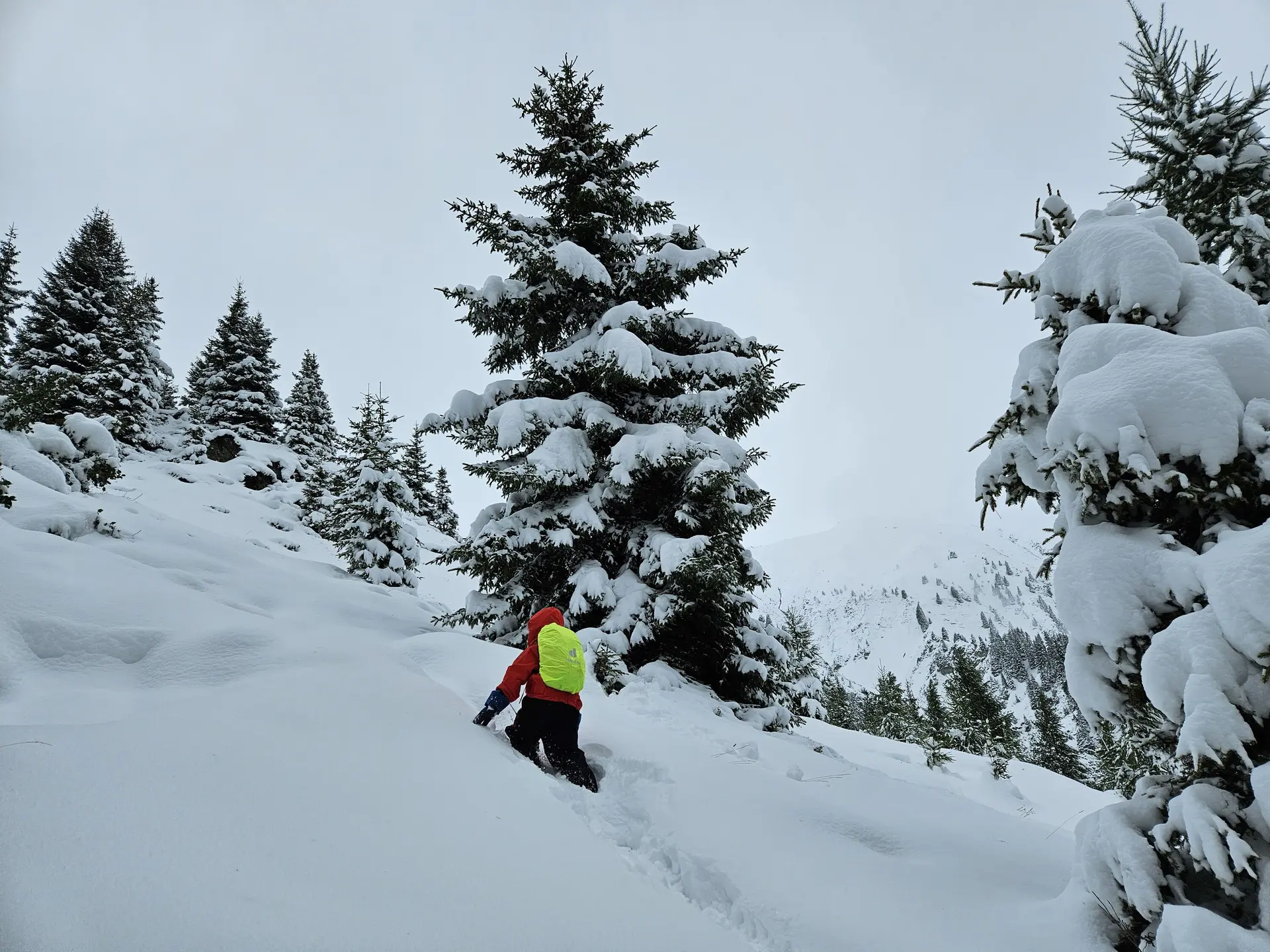 Familienwochenende auf der Friedrichshafener Hütte  | © DAV-FN / A. Schababerle