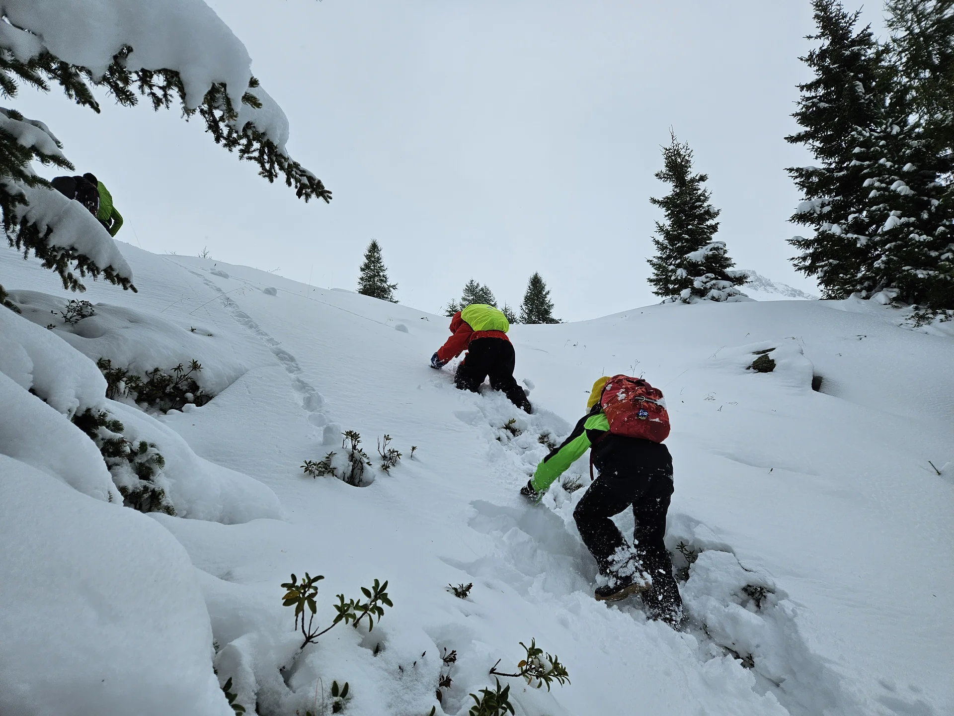 Familienwochenende auf der Friedrichshafener Hütte  | © DAV-FN / A. Schababerle