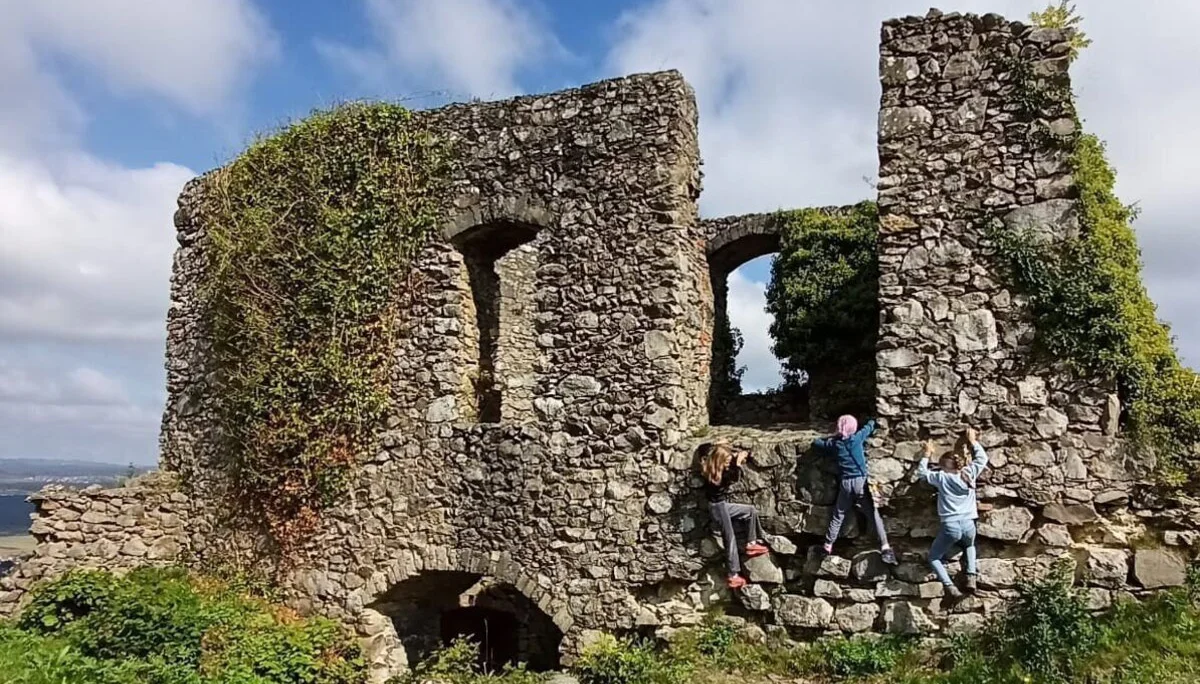 Kinder klettern an einer von Efeu bewachsenen, alten Steinruine unter blauem Himmel | © DAV-FN / M. Gross