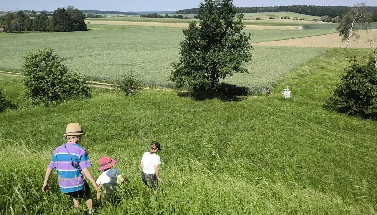 Drei Kinder mit Hüten gehen durch hohes Gras in einer weiten, grünen Landschaft mit Feldern und Bäumen im Hintergrund | © DAV-FN / M. Gross