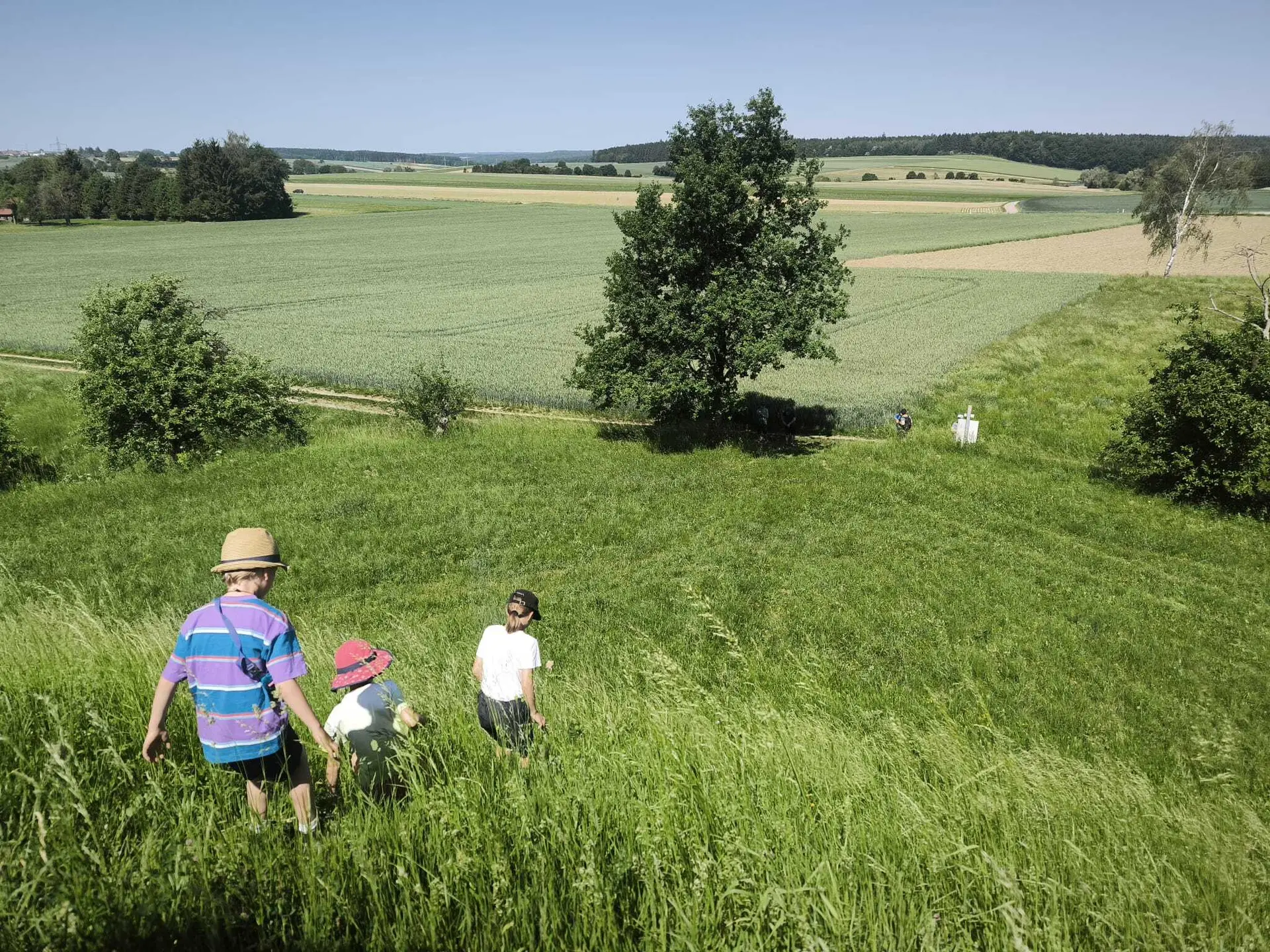 Drei Kinder mit Hüten gehen durch hohes Gras in einer weiten, grünen Landschaft mit Feldern und Bäumen im Hintergrund | © DAV-FN / M. Gross