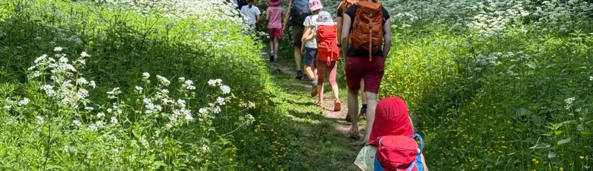 Gruppe von Kindern mit Rucksäcken wandert auf einem schmalen Waldweg zwischen grünen Wiesen mit weißen und gelben Blumen | © DAV-FN / M. Gross
