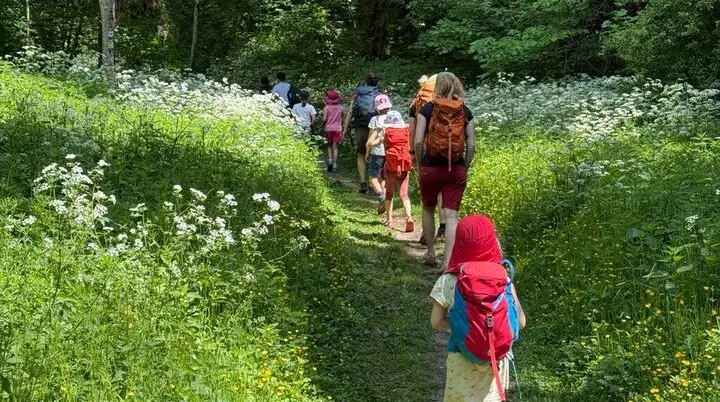 Gruppe von Kindern mit Rucksäcken wandert auf einem schmalen Waldweg zwischen grünen Wiesen mit weißen und gelben Blumen | © DAV-FN / M. Gross