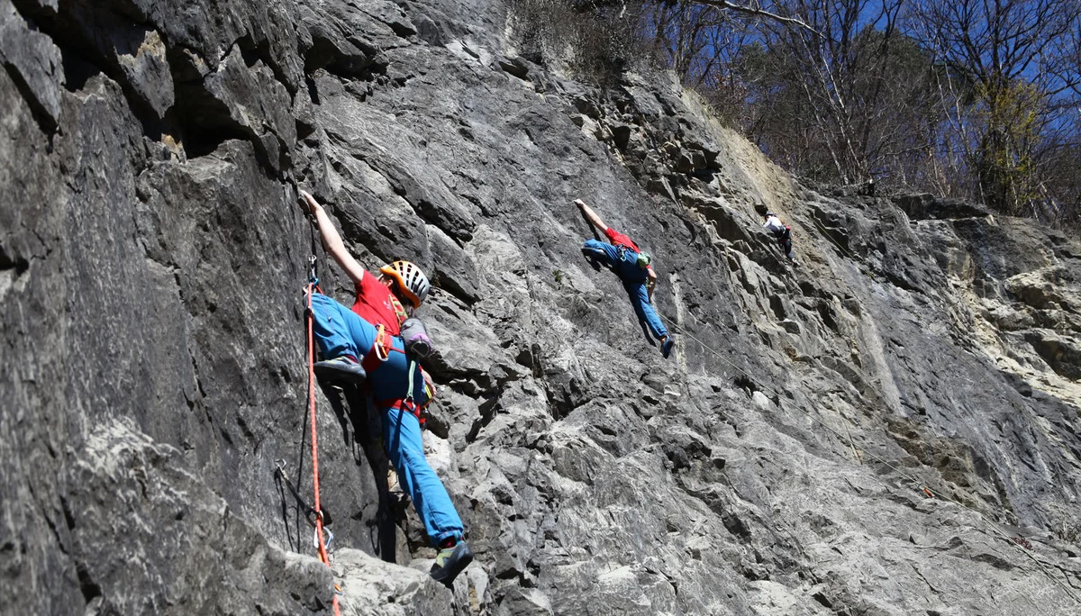 Zwei Kinder im Aufstieg im Klettergarten | © DAV-FN - Thomas Müller
