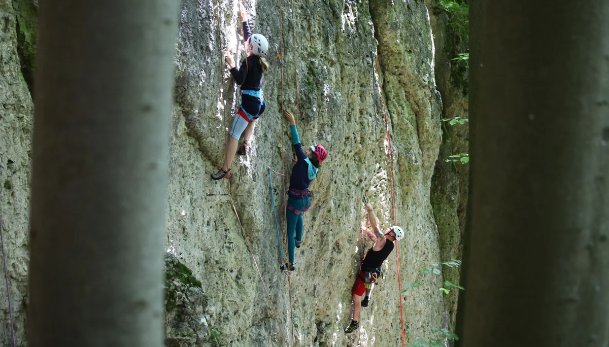 3 junge Kletterer an steiler Wand durch Bäume huindurch beobachtet | © DAV-FN Thomas Müller