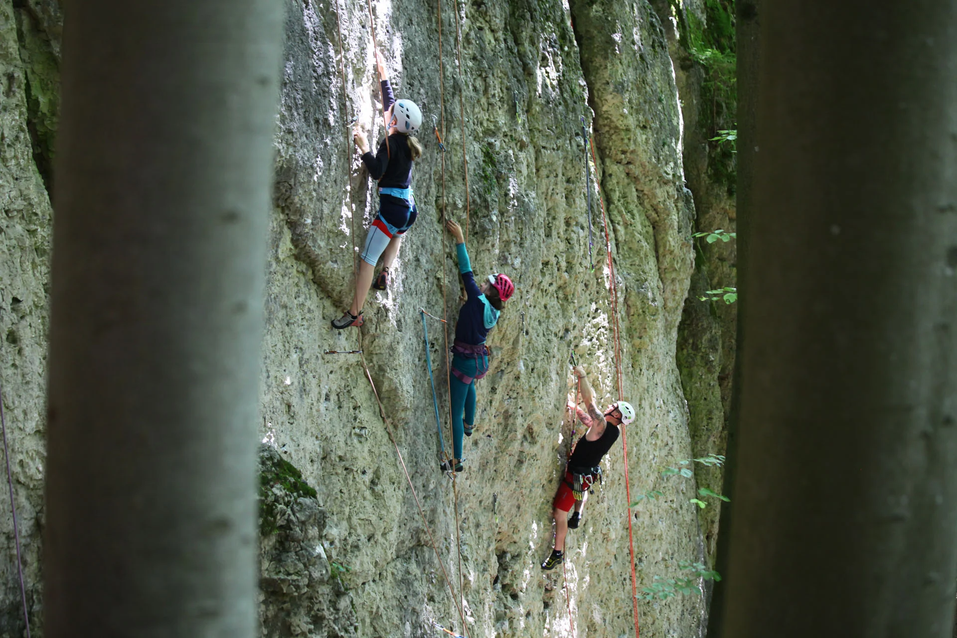 3 junge Kletterer an steiler Wand durch Bäume huindurch beobachtet | © DAV-FN Thomas Müller