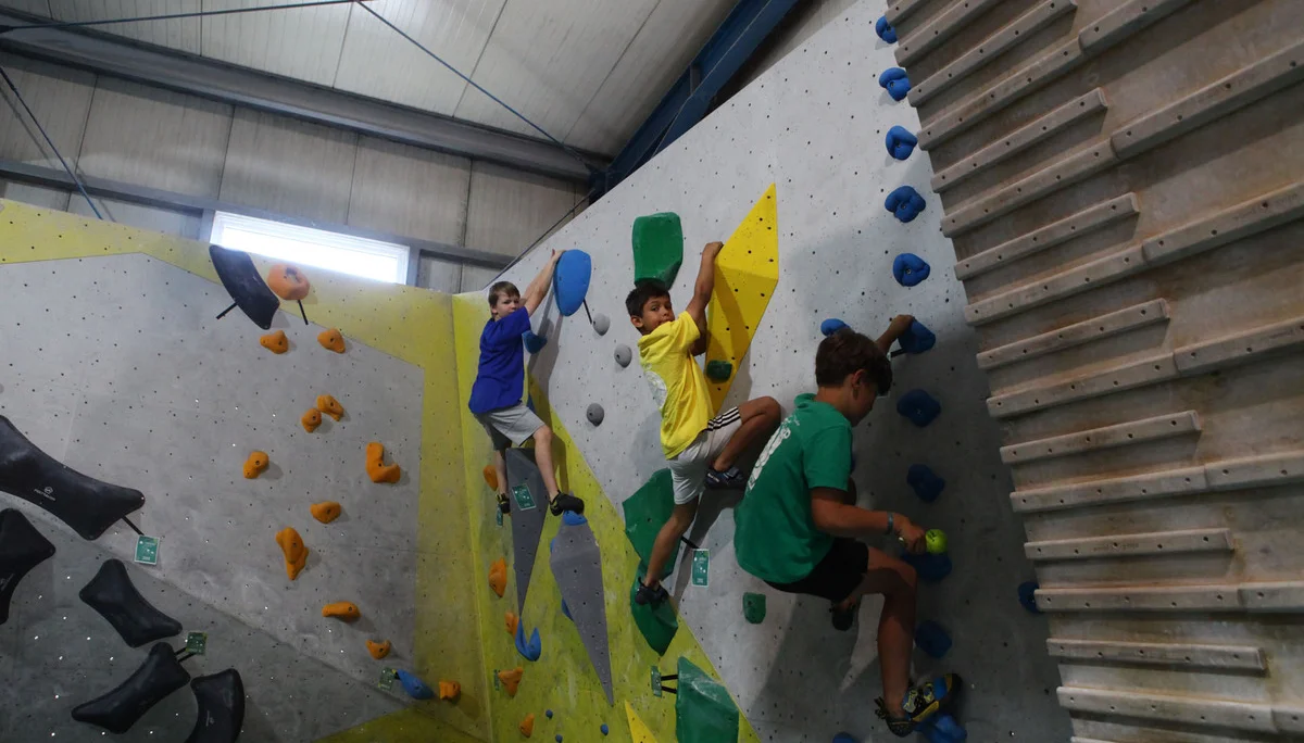 Drei Kinder klettern an einer Kletterwand mit bunten Griffen in einer Halle | © DAV-FN Thomas Müller