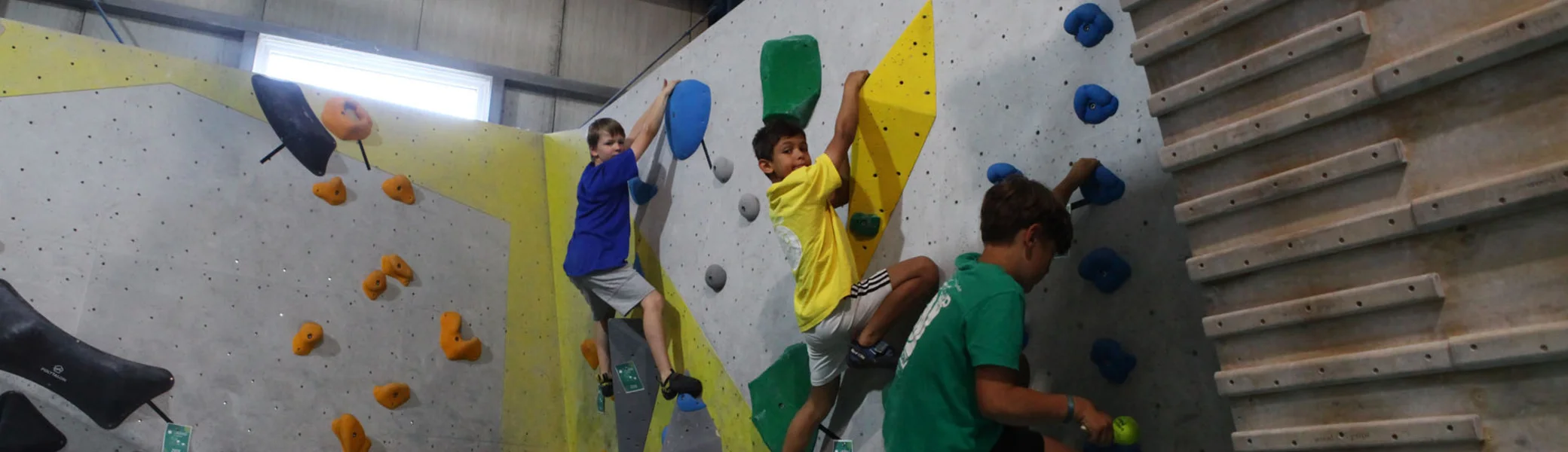 Drei Kinder klettern an einer Kletterwand mit bunten Griffen in einer Halle | © DAV-FN Thomas Müller