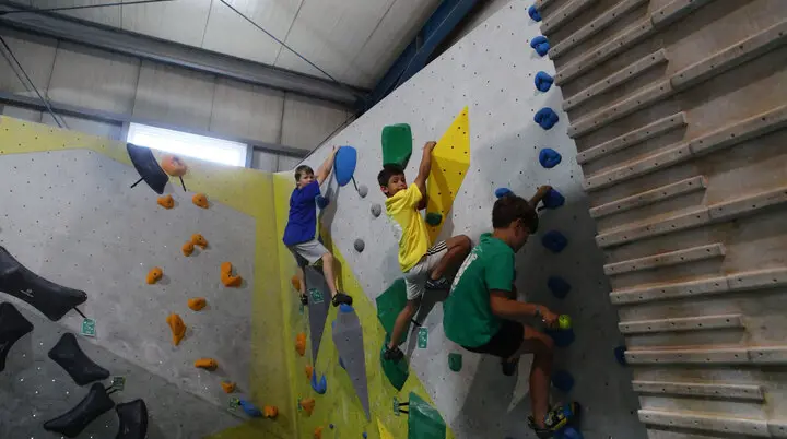 Drei Kinder klettern an einer Kletterwand mit bunten Griffen in einer Halle | © DAV-FN Thomas Müller