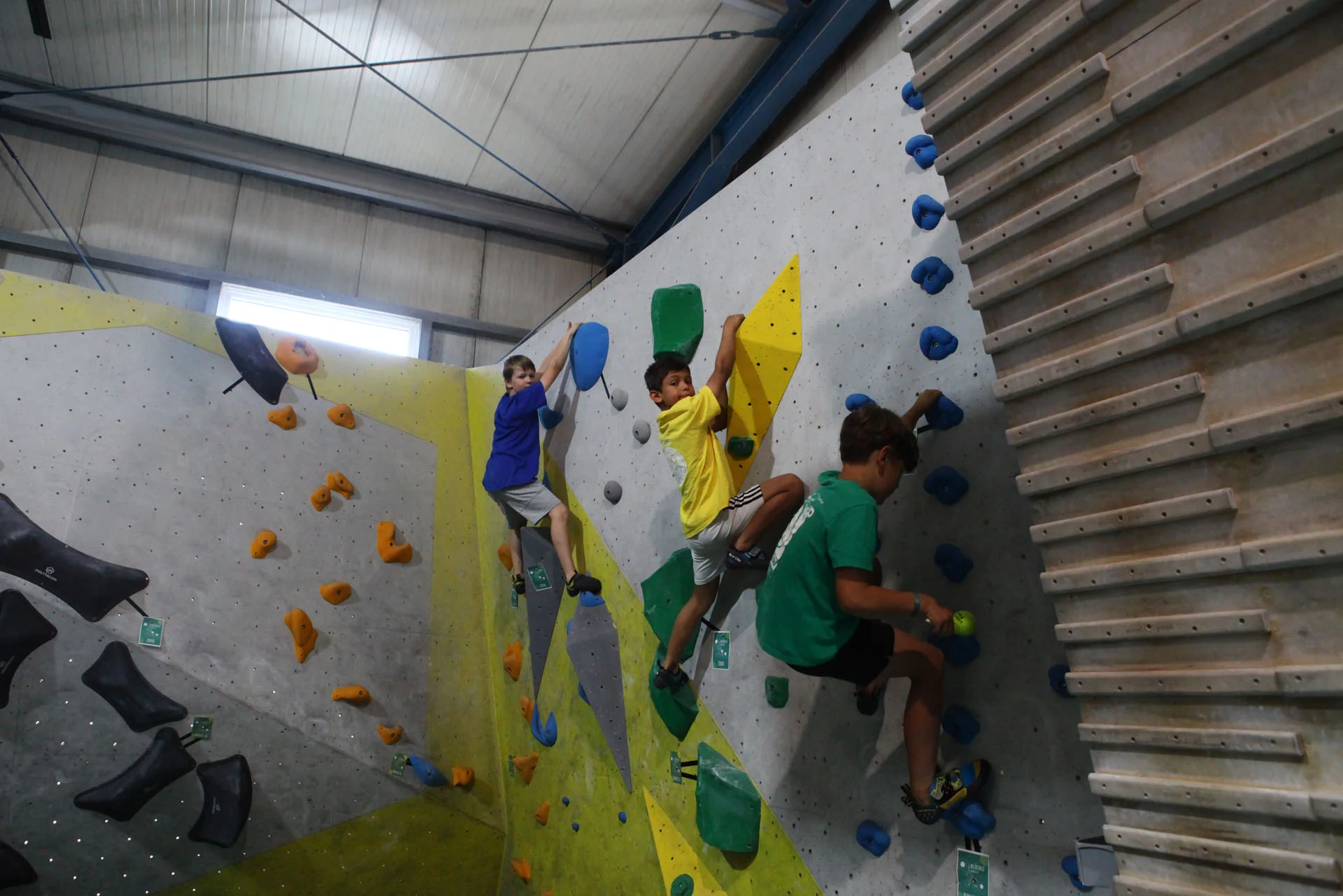 Drei Kinder klettern an einer Kletterwand mit bunten Griffen in einer Halle | © DAV-FN Thomas Müller
