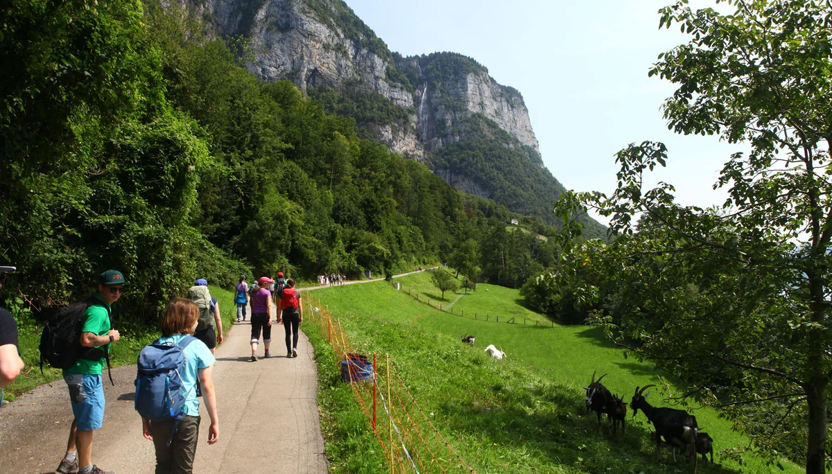 © DAV-FN Thomas Müller