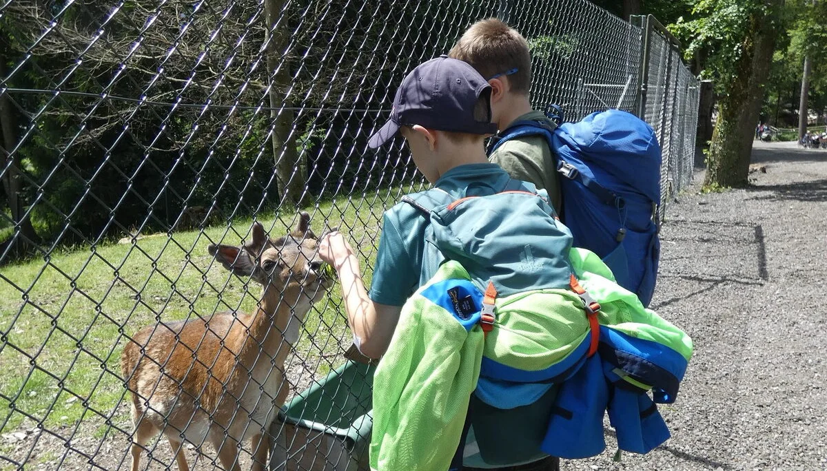 Jugendtour Wildpark Feldkirch | © DAV-FN / Sandra Knefel