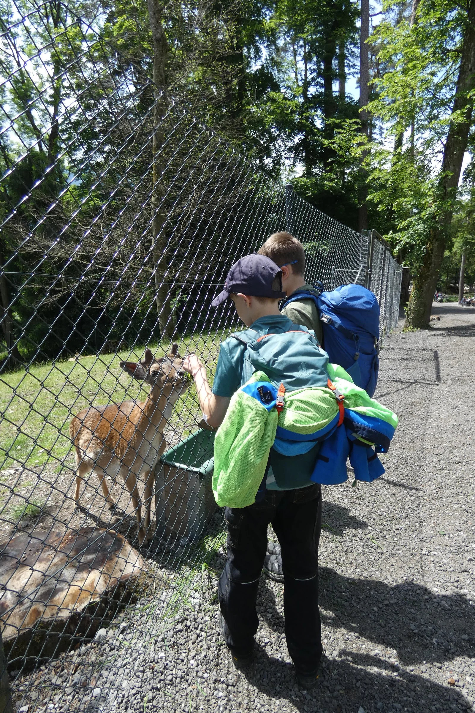 Jugendtour Wildpark Feldkirch | © DAV-FN / Sandra Knefel