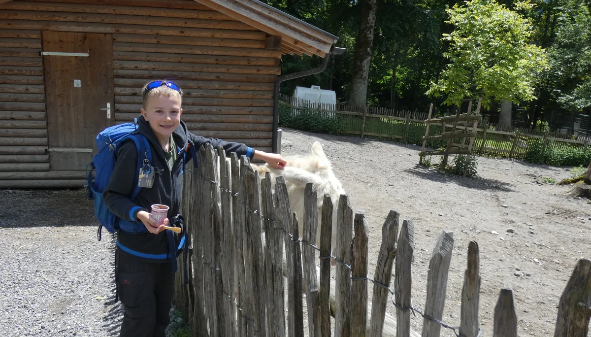 Jugendtour Wildpark Feldkirch | © DAV-FN / Sandra Knefel