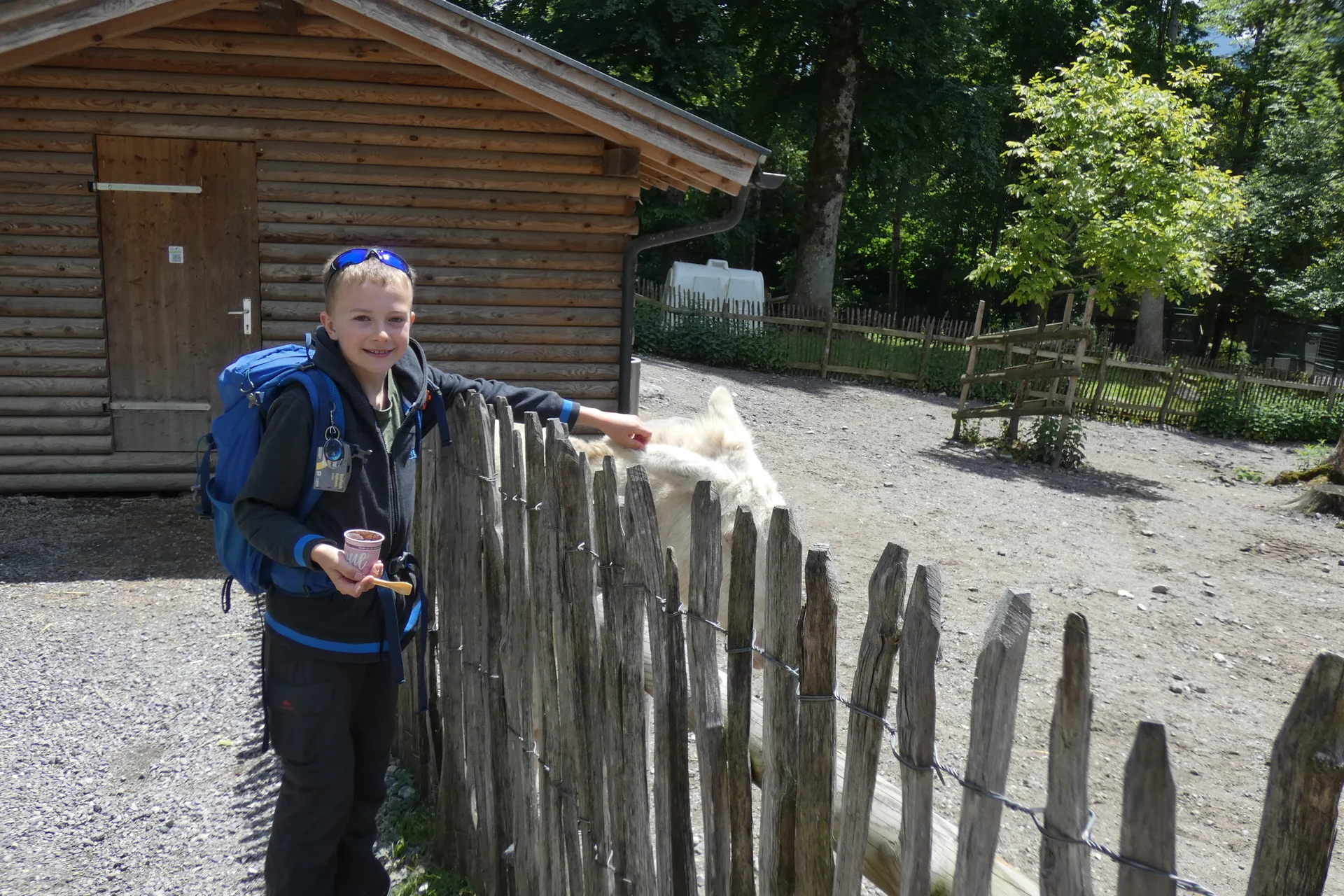 Jugendtour Wildpark Feldkirch | © DAV-FN / Sandra Knefel