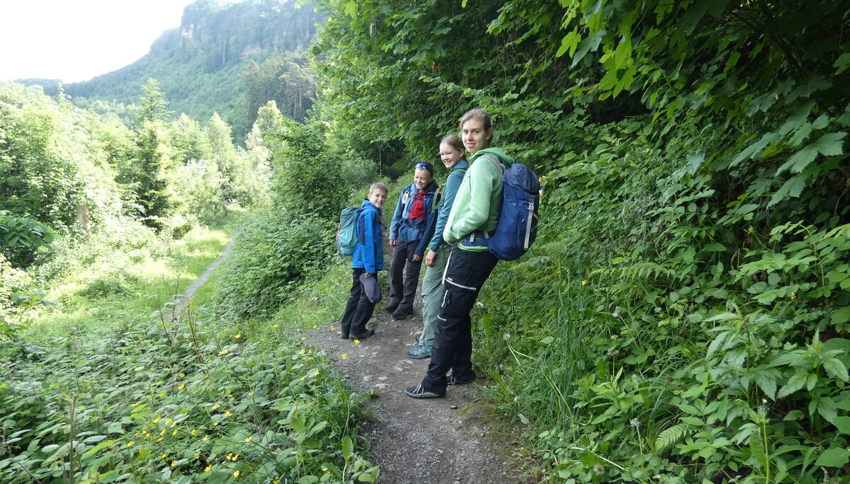 Vier jugendliche Wandernde auf einem Weg am Waldrand | © DAV-FN / Sandra Knefel