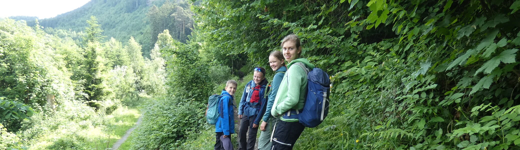Vier jugendliche Wandernde auf einem Weg am Waldrand | © DAV-FN / Sandra Knefel