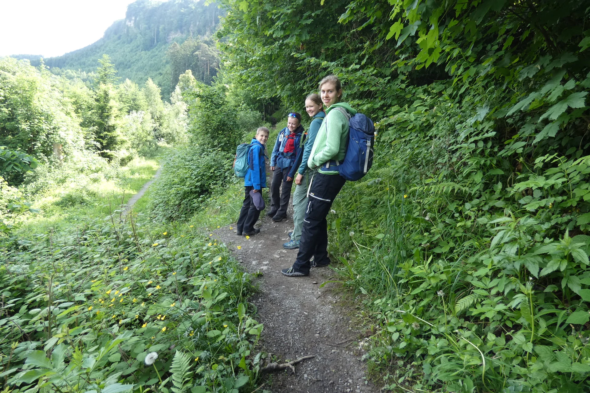 Vier jugendliche Wandernde auf einem Weg am Waldrand | © DAV-FN / Sandra Knefel
