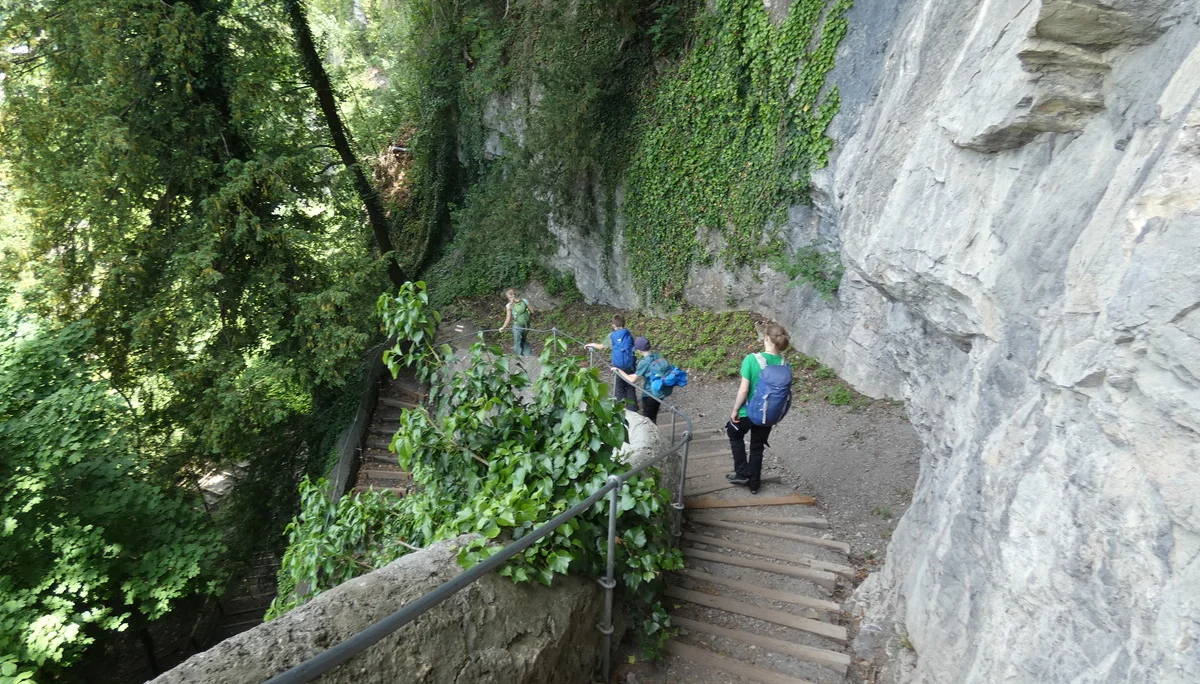 Jugendtour Wildpark Feldkirch | © DAV-FN / Sandra Knefel