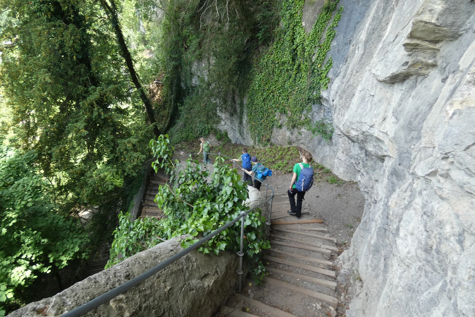 Jugendtour Wildpark Feldkirch | © DAV-FN / Sandra Knefel