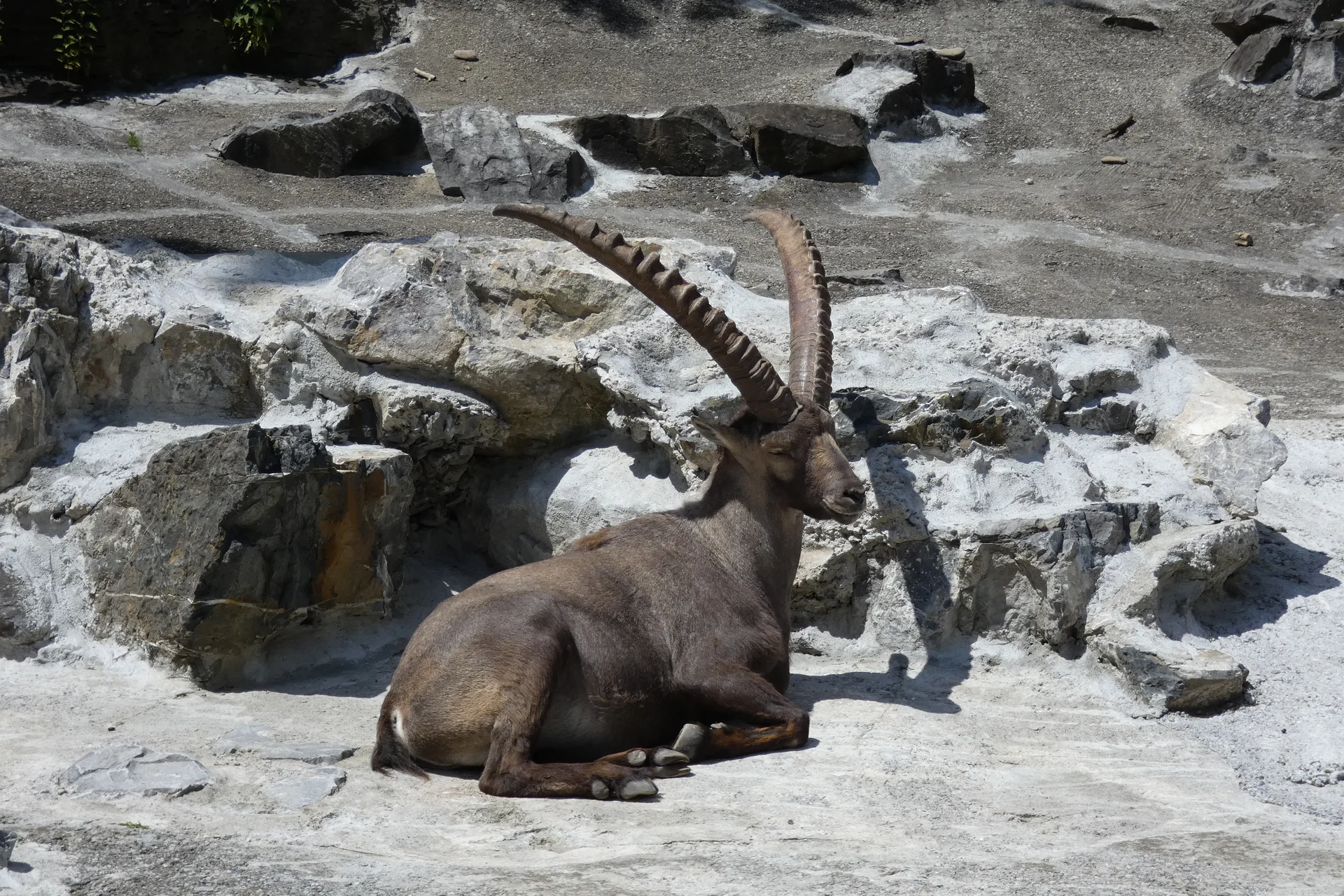 Jugendtour Wildpark Feldkirch | © DAV-FN / Sandra Knefel