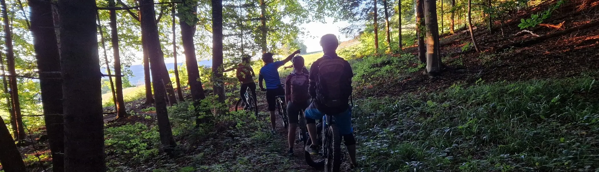 Gruppe von Radfahrern mit Helmen auf Waldweg im Gegenlicht | © DAV-FN / P. Elkenkamp