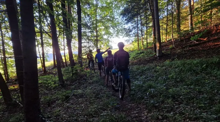 Gruppe von Radfahrern mit Helmen auf Waldweg im Gegenlicht | © DAV-FN / P. Elkenkamp