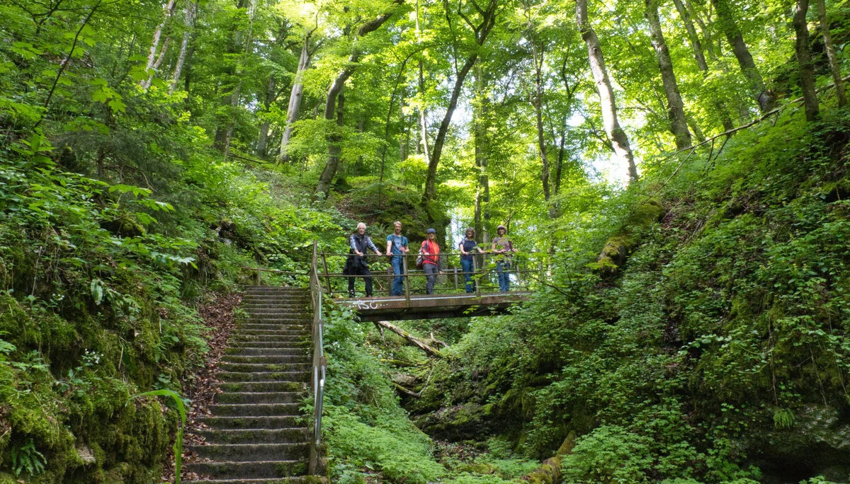 © FN-DAV / Rucksack