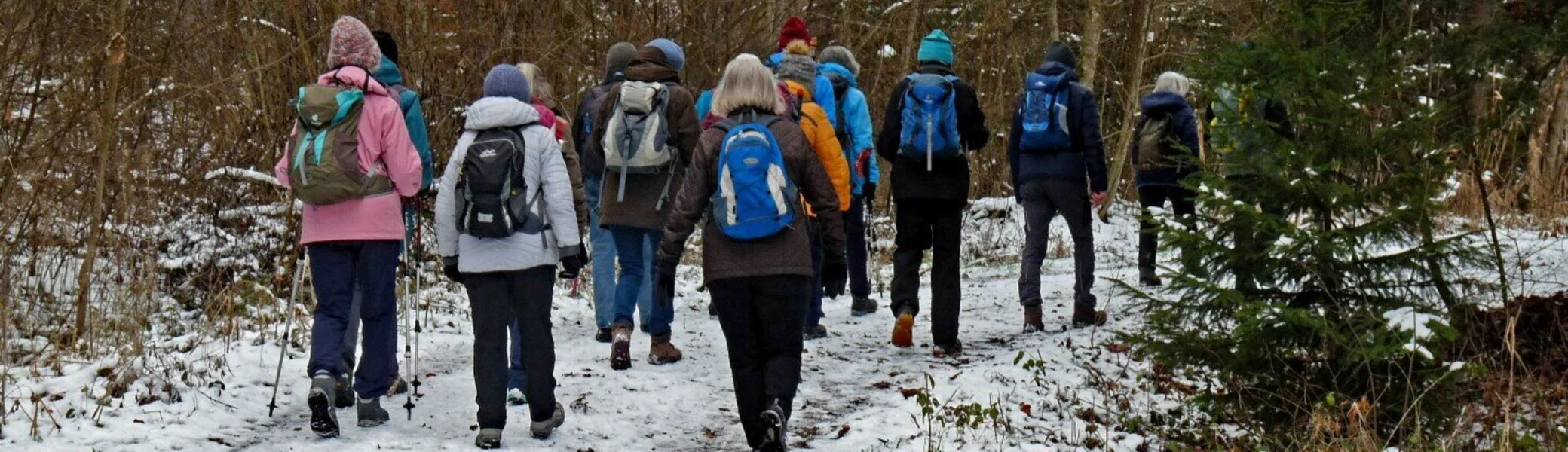 Gruppe von Wanderern mit Rucksäcken auf einem schneebedeckten Waldweg, umgeben von kahlen Bäumen | © DAV-FN / E. Fischer