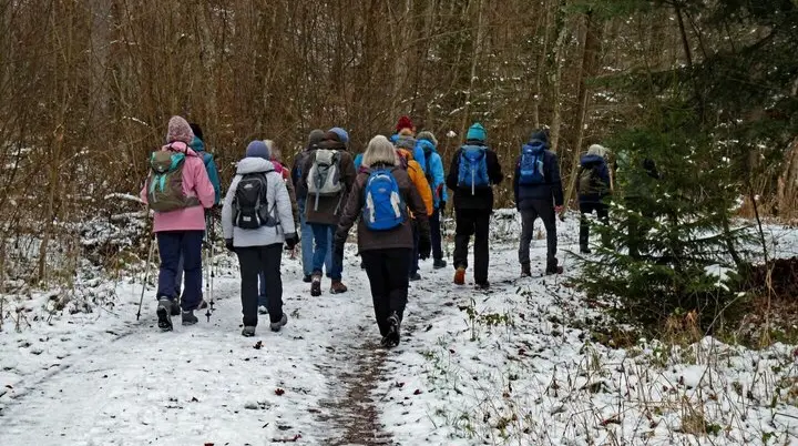 Gruppe von Wanderern mit Rucksäcken auf einem schneebedeckten Waldweg, umgeben von kahlen Bäumen | © DAV-FN / E. Fischer