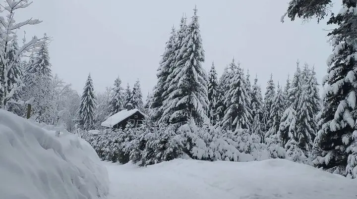 Am Bödele | © DAV - FN / L. Eggert