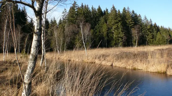 Wildrosenmoos | © outdooractive.de / M. Hartmann T. Schubert