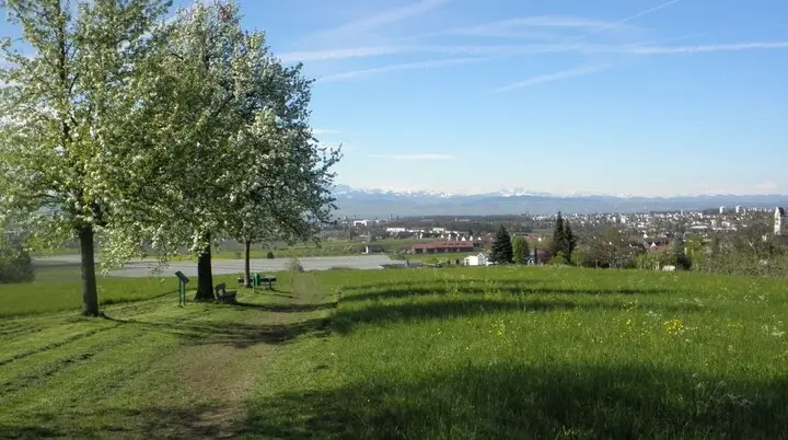  Blick vom Haldenberg  | © Foto: Tourist-Information Ailingen, Tourist-Information Friedrichshafen 